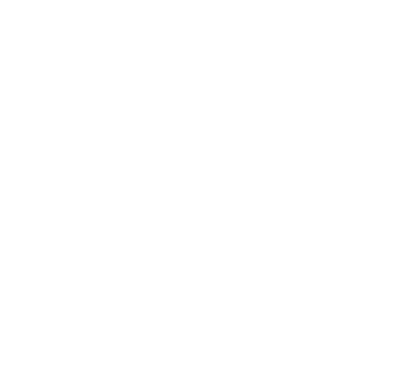 audi Audi