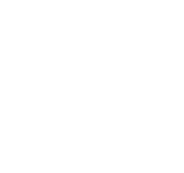 porsche Porsche